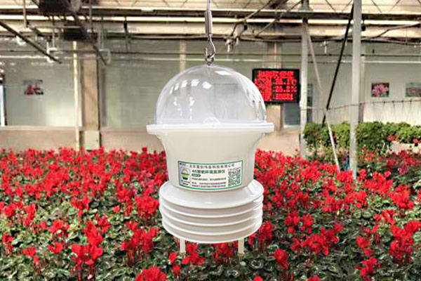 “智能花藍”4G環境數據監測儀